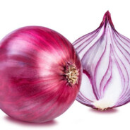 󰀡快乐的葱头󰀋