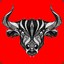 BullBoy19