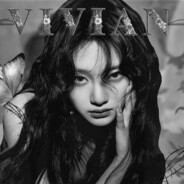 劣弧狐不是游戏黑洞