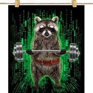 Cyber Raccoon avatar