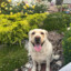 egor