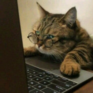 趴在窗边数星星