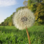 ОдУвАнчЕК:D