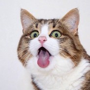 Do you want see my ass