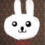 BLACK_RABBIT