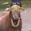 Gangsta Goat