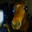 horse meme