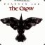 Crow