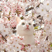 Ещё_Раз-и_Ни_Разу