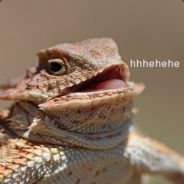 LJK - steam id 76561197960524254