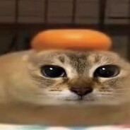 海綿