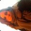 Blandine