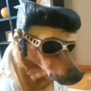 Ти шо,йобнутий? avatar