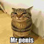 Mr. Penis