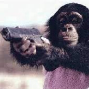 PistolMonkey