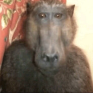 Эдик2009's avatar