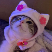 COCOINE avatar