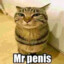 Mr. Penis