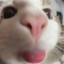 &gt;.&lt;