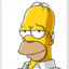 Homer  *******