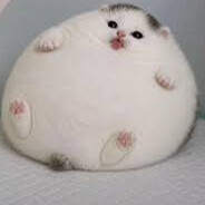Smajl159's avatar