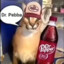 Dr. Pebba
