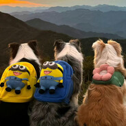 门头沟大队我来惹