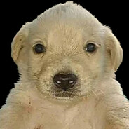 jotchua avatar