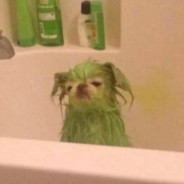 Talula Does the Hula From Hawaii