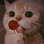 𝐌𝐃𝐌𝐀𝐙𝐈𝐍𝐆