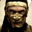 Hanzo Hasashi