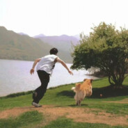 小狐狸爱来撒哈拉绕柱走