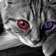 爹22222222222222222222222222222