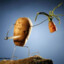 Potato-Killer