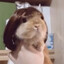little funny bunny