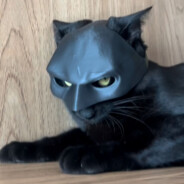 VeLh LOBO