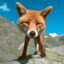 foxx.