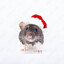 rat of unimaginable holly&amp;jolly