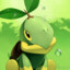 Turtwig6666