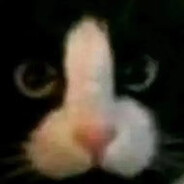 hyh