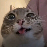 hellre gå än b230fk