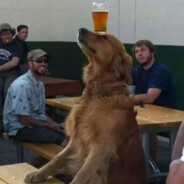 dogbone