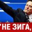 Слоняра