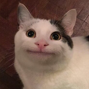 𝕭𝖊𝖑𝖚𝖌𝖆ッ