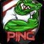 PING