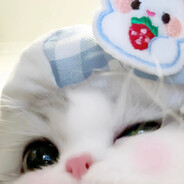 七七是条僵尸鱼