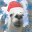 Llamaliker