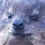 Sniles Sneetly