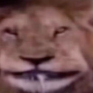 rivAl - steam id 76561199517743484