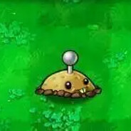 禅静花园自由人土豆地